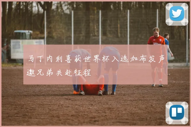 马丁内利喜获世界杯入选加布发声邀兄弟共赴征程